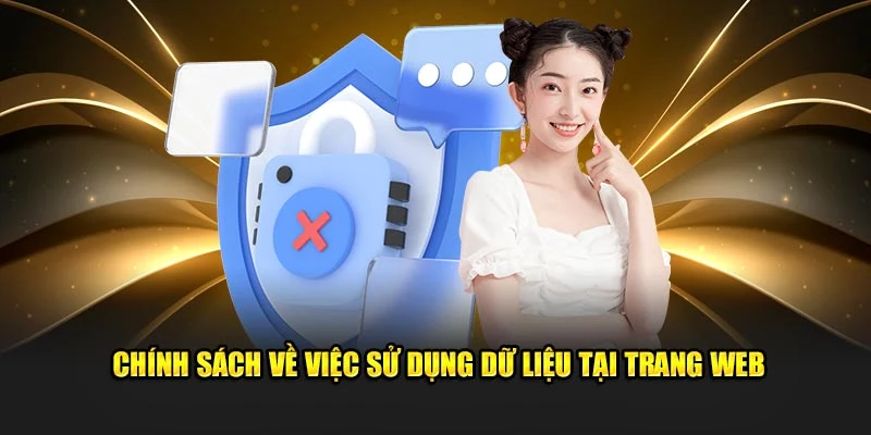 Chính sách về việc sử dụng dữ liệu tại trang web