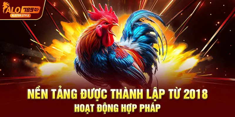 Nền tảng được thành lập từ 2018, hoạt động hợp pháp