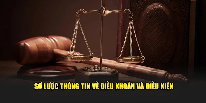 Thông tin khái niệm Điều Khoản Điều Kiện