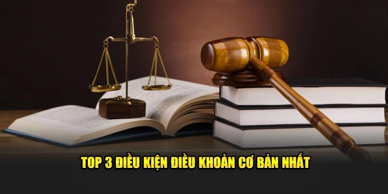 Top 3 Điều Kiện Điều Khoản cơ bản nhất